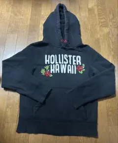 Hollister HAWAII フード付きパーカー
