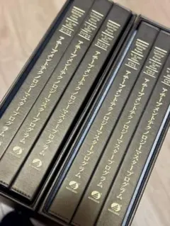 アチーブメント　マスター プログラム CD＆DVDセット