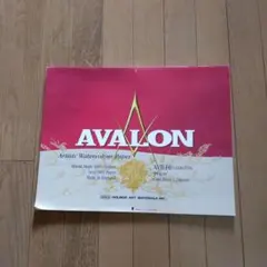 Item thumbnail for item 17e09475-b7aa-4eae-b11b-71fa770d0a2a