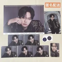 【即購入可】FORCE 日本 シーグリ 2026 セット リノ