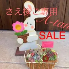 ★お値下げ中　多肉植物　寄せ植え〜Bigうさぎさんセット〜★