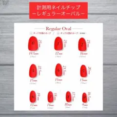 計測用ネイルチップ　レギュラーオーバル