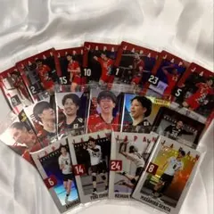 【バレーボール日本代表】選手カード 15枚セット