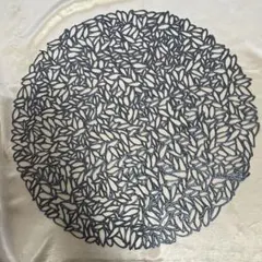 Item thumbnail for item 408916fa-0e8e-486e-ab42-b48ac73050a9