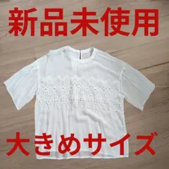 新品 タグ付 夏トップス ホワイト レース 刺繍 半袖 白 涼し気 フリーサイズのサムネイル