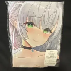 ホロライブ 5th fes ホログラム缶バッジ 白銀ノエル - メルカリ
