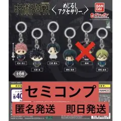 呪術廻戦 死滅回游 めじるしアクセサリー　セミコンプ　脹相除く