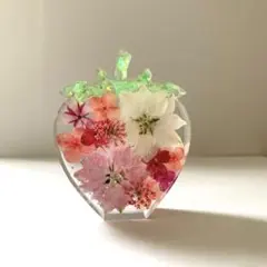 ハート いちご 固まるハーバリウム オブジェ - メルカリ