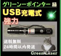レーザー★USB充電式　ポインターのサムネイル