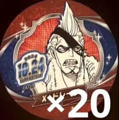 2024年　バースデイ缶バッジステッカー　20枚 ドレーク　ONE PIECE
