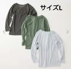 Item thumbnail for item 9d94ef93-c47c-4c66-b7c8-c739c2af3440