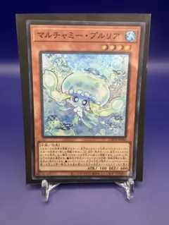 2026年最新】マルチャミー・プルリアの人気アイテム - メルカリ