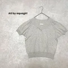 AG by aquagirl/半袖ニット/グレー/Ｖネック/綺麗め/大人可愛いのサムネイル