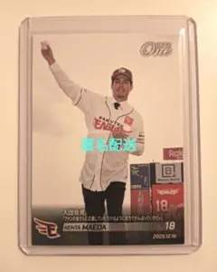 Item thumbnail for item 08b03174-41f3-438b-87c1-1a7234ed0bde