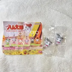 とっとこハム太郎 めじるしアクセサリー ちゅりー！　パンダくん