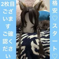 ツイステ コスプレ ジェイド・リーチ レオナ・キングスカラー ウィッグ [2点］