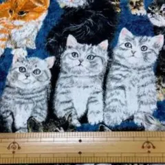 リアルねこ柄②・SPX・100cm・輸入生地