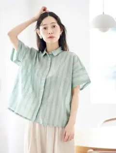 and myera ストライプ 半袖シャツ グリーン