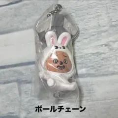 SKZOO つまんでつなげてますこっとvol.2 ハン　ボールチェーン
