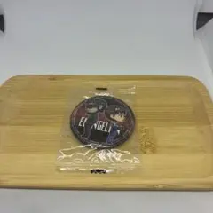 ガチャ 新世紀エヴァンゲリオン 缶バッジ