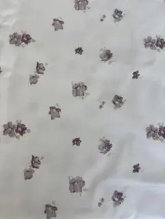 Item thumbnail for item c14b6159-8239-465e-856d-3818674f2b2f