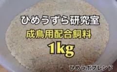 2025年最新】ヒメウズラの人気アイテム - メルカリ