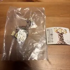 Item thumbnail for item 89ee1013-3836-442b-975c-61d369d6fd37