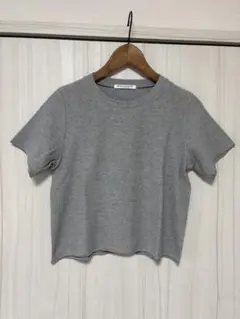BEAUTY&YOUTH 半袖クロップドTシャツ