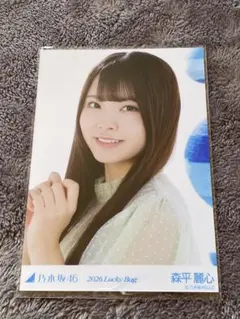 森平麗心 Lucky Bag 2026 生写真 福袋 乃木坂46 ヨリ