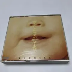 とんねるず/ほのちゃんにはがはえた。