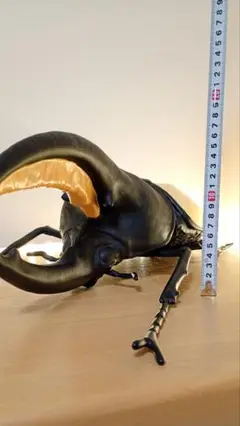 ヘラクレスオオカブト
