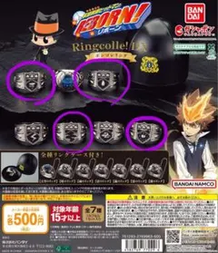 ボンゴレリングコレクションDX 雨嵐晴霧