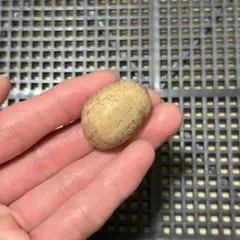 ピクルス様 リクエスト 2点 まとめ商品