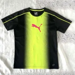プーマ　トレーニングシャツ　蛍光　黄色×黒　 さらっとドライ　Tシャツ　スポーツ