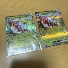 フォレストex 2枚セット ポケモンカード