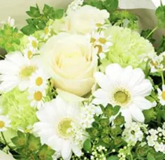 casselini キャセリーニ メーテル帽 ロシア帽 ミックスファー グレー