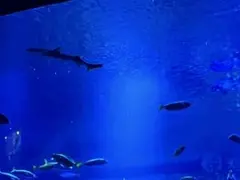 樽様　購入用ページ