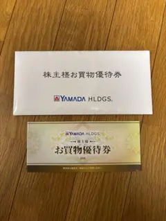 YAMADA HLDGS. ヤマダ電機　お買物優待券 ¥5000