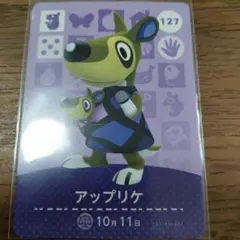 あつまれどうぶつの森　amiiboカード　アップリケ
