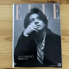 増刊 ELLE JAPON 特別版 2023年11月号