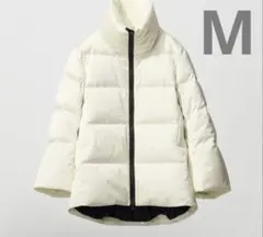 Item thumbnail for item 368ae298-9245-49d2-8a86-3c85c6e601e4