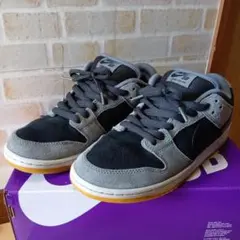 NIKE SB DUNK LOW PRO スニーカー
