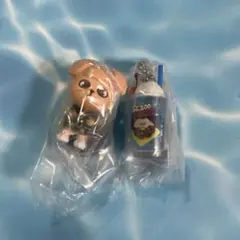 SKZOO パピーム　レトログラスミニチュアチャーム　つまんでつなげて