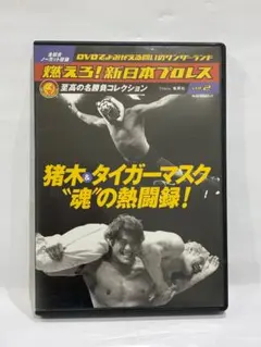 Item thumbnail for item 20a37474-bc6b-4e4d-bf38-6e8e2e75e499