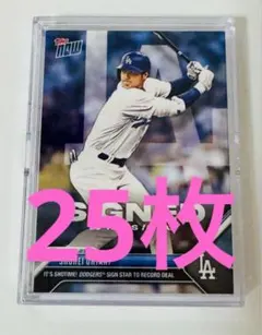 MINARI様 リクエスト 2点 まとめ商品