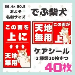 【でぶ柴犬】ケアシール 注意喚起 天地無用 40枚 シンプル 動物 犬