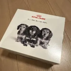 Item thumbnail for item bf5ff1d5-b60c-4413-8648-b1180a265116