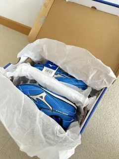 激レア新品未使用！MIZUNO(ミズノ)スパイク「ウェーブカップ 021 Si