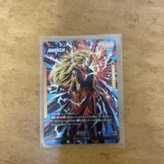 進化の境地　孫悟空 ドラゴンボールフュージョンワールド