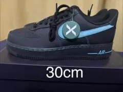 Nike Air Force 1 Low ブラックティファニー30cm鑑定済み